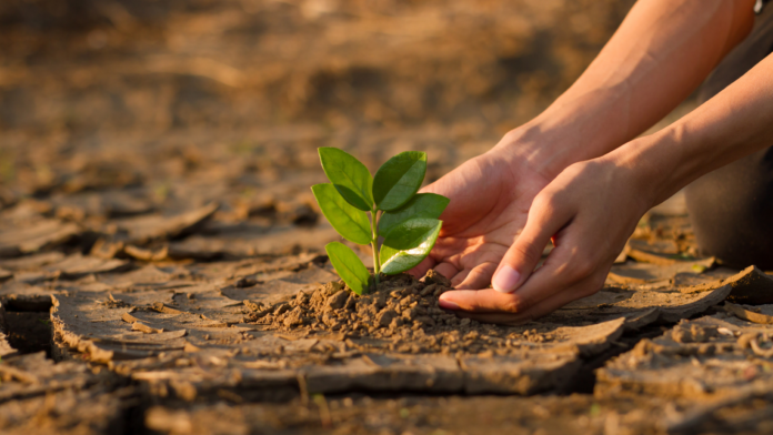 Cambiamento climatico in Italia
